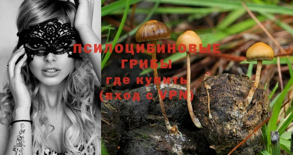 ешки Ачинск