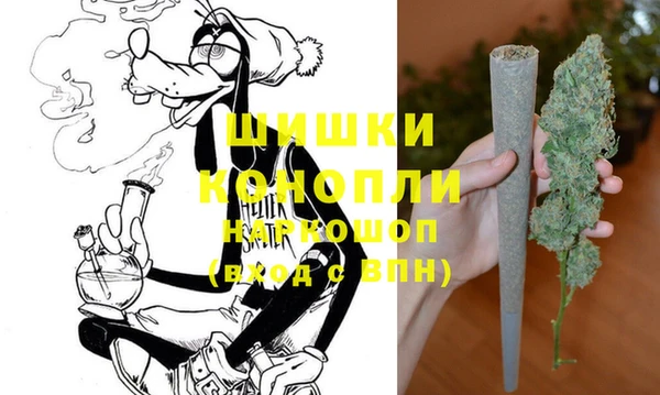 дживик Мегион