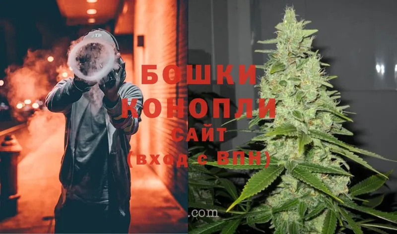 Канабис THC 21%  где купить наркоту  Каменногорск 